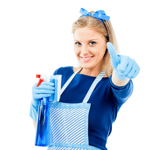 Maid - transparent backgroud